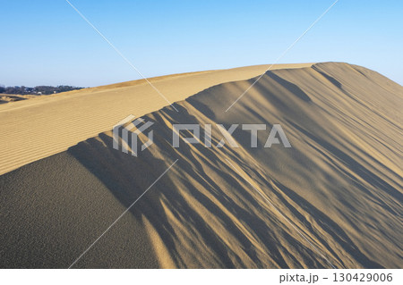 風紋(鳥取砂丘) 風紋(鳥取砂丘) 130429006