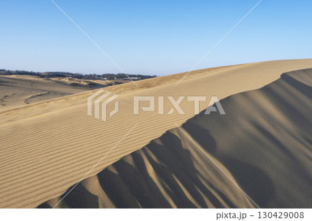 風紋（鳥取砂丘） 130429008