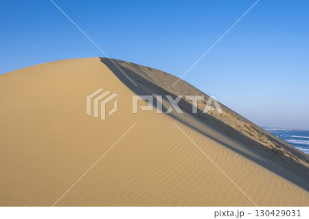 風紋(鳥取砂丘) 風紋(鳥取砂丘) 130429031