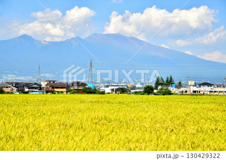 佐久市前山より浅間山方面を望む(長野県佐久市)【2025.9】 130429322