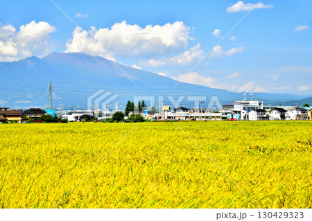 佐久市前山より浅間山方面を望む(長野県佐久市)【2025.9】 130429323
