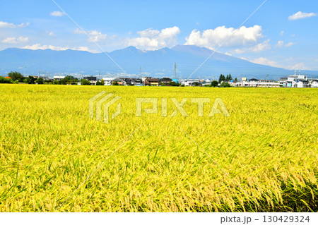 佐久市前山より浅間山方面を望む(長野県佐久市)【2025.9】 佐久市前山より浅間山方面を望む(長野県佐久市)【2025.9】 130429324