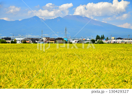 佐久市前山より浅間山方面を望む(長野県佐久市)【2025.9】 佐久市前山より浅間山方面を望む(長野県佐久市)【2025.9】 130429327