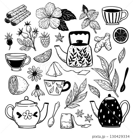 Teapots, tea cups, plants and herbs. Big collection of design elements in black and white doodle hand-drawn style for menu and packaging design 130429334