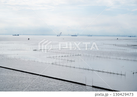 海苔 養殖場 木更津 海苔 養殖場 木更津 130429473