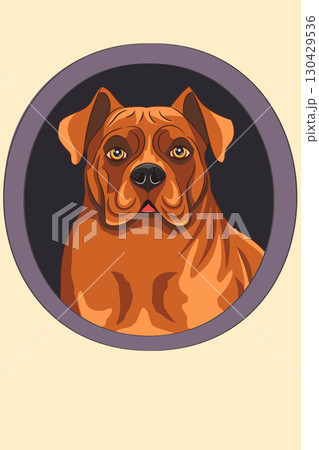 Vector illustration of Dogue de Bordeaux dog Vector illustration of Dogue de Bordeaux dog 130429536