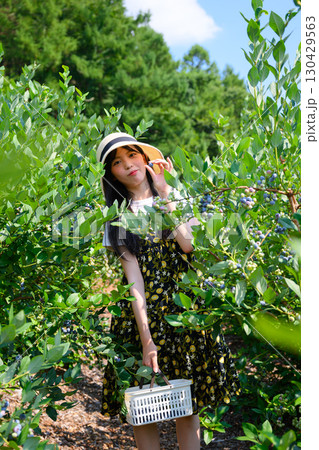 農園でブルーベリー狩りを楽しむ麦わら帽子の女の子 農園でブルーベリー狩りを楽しむ麦わら帽子の女の子 130429563