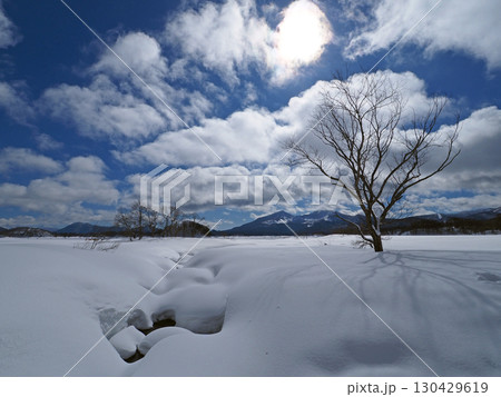 冬の裏磐梯、桧原湖。白い広大な雪原に立木と冠雪の磐梯山、それに太陽で輝く雲が印象的で綺麗だ。 130429619