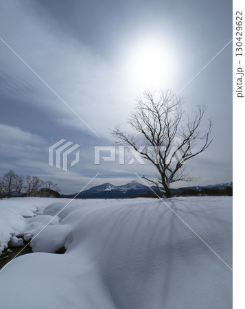 冬の裏磐梯、桧原湖。雪原の立木と冠雪の磐梯山が炎の様な太陽に照らされ、印象的で綺麗だ。 冬の裏磐梯、桧原湖。雪原の立木と冠雪の磐梯山が炎の様な太陽に照らされ、印象的で綺麗だ。 130429622