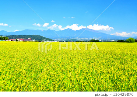 五郎兵衛新田より浅間山方面を望む(長野県佐久市)【2025.9】 130429870