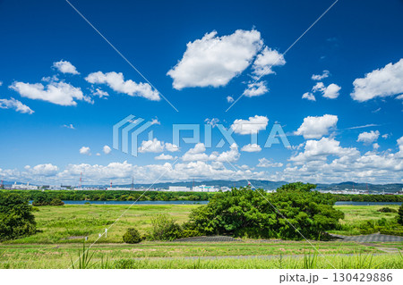 夏の淀川河川公園出口地区風景　枚方市 130429886