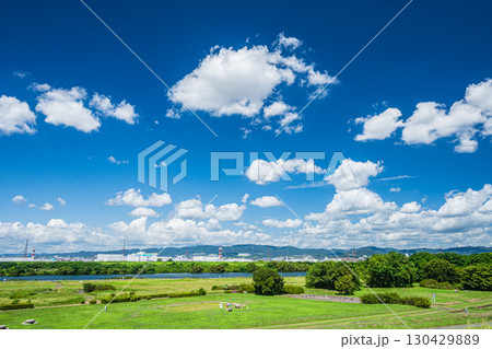 夏の淀川河川公園出口地区風景 枚方市 夏の淀川河川公園出口地区風景 枚方市 130429889