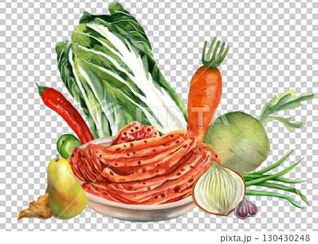 Vegetables composition for kimchi watercolor illustration on transparent background. Chinese cabbage, onion, ginger, carrot, daikon and pepper. For kimchi design, recipes and cards  130430248