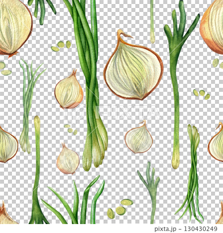 Green onion, feathers, bulb, slices. Seamless pattern of watercolor illustrations on a transparent background. For wallpaper design, postcards, recipes  130430249