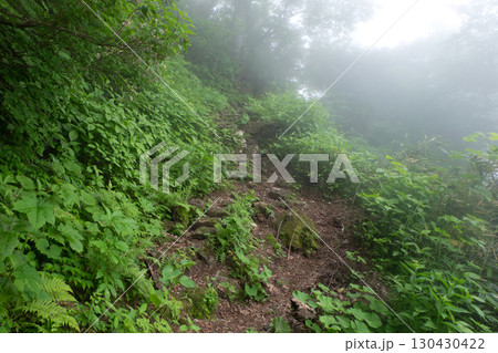 霧に包まれた森と登山道の風景 霧に包まれた森と登山道の風景 130430422