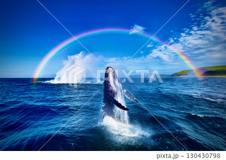 虹の中のクジラ 虹の中のクジラ 130430798