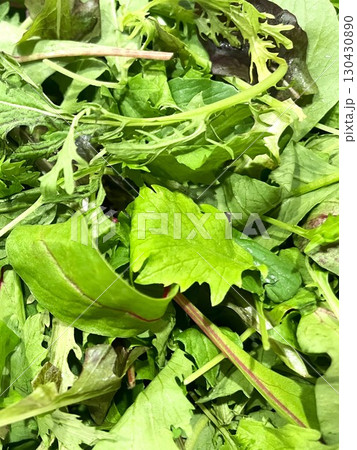 茨城県産のオーガニックベビーリーフ3 130430890