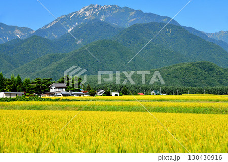 大町市平より蓮華岳、北葛岳方面を望む(長野県大町市)【2025.9】 130430916