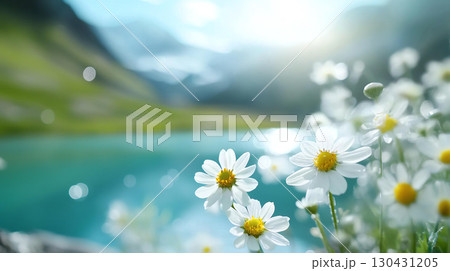 Landscape background White flowers blooming near tranquil turquoise lake, surrounded by mountains, create serene and peaceful atmosphere in nature Landscape background White flowers blooming near tranquil turquoise lake, surrounded by mountains, create serene and peaceful atmosphere in nature 130431205