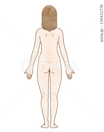 解剖学的正位　女性　背面　水彩風　髪あり 130431776