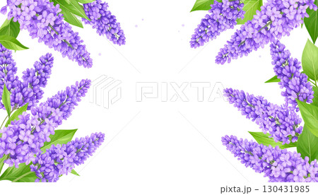 Colorful floral frame with pink and purple flowers, isolated on white background. 130431985