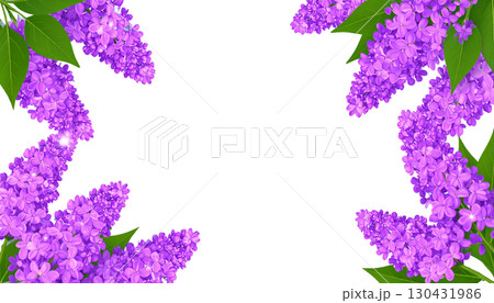 Colorful floral frame with pink and purple flowers, isolated on white background. 130431986