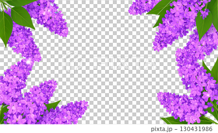 Colorful floral frame with pink and purple flowers, isolated on white background. 130431986
