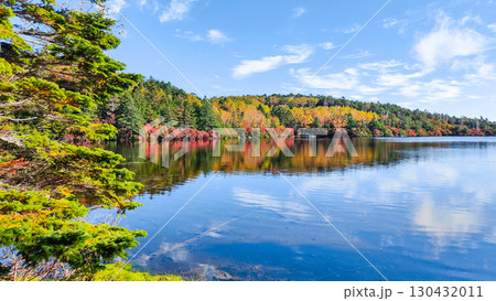 秋の白駒池 130432011