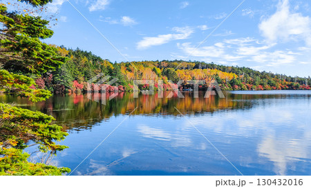 秋の白駒池 130432016