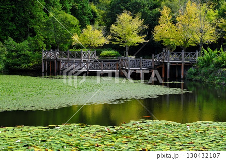 初秋の公園地と色付く木々（荒神谷史跡公園：出雲市） 130432107