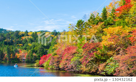 秋の白駒池 130432162