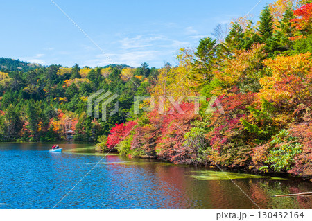 秋の白駒池 秋の白駒池 130432164