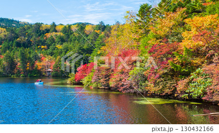 秋の白駒池 130432166