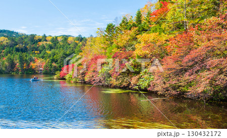 秋の白駒池 130432172