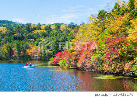 秋の白駒池 130432176