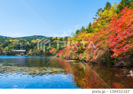秋の白駒池 秋の白駒池 130432187