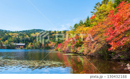 秋の白駒池 秋の白駒池 130432188