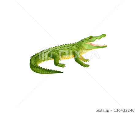 Large green reptiles including crocodiles, isolated on white background. Large green reptiles including crocodiles, isolated on white background. 130432246