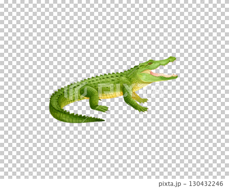 Large green reptiles including crocodiles, isolated on white background. Large green reptiles including crocodiles, isolated on white background. 130432246