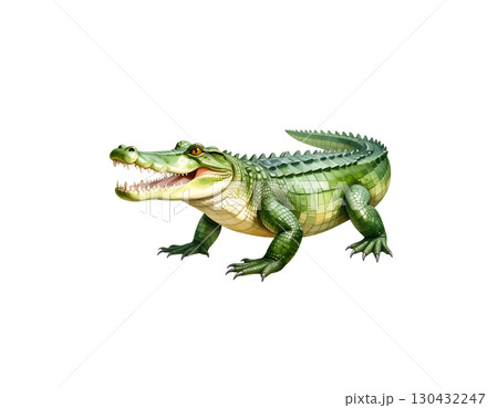 Large green reptiles including crocodiles, isolated on white background. Large green reptiles including crocodiles, isolated on white background. 130432247