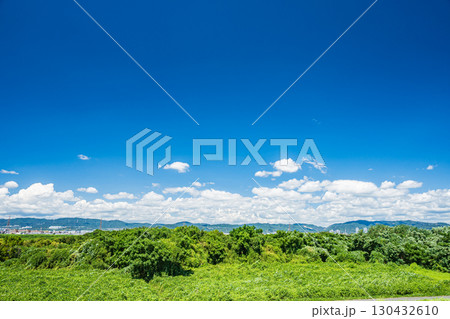 淀川夏景色 枚方市 淀川夏景色 枚方市 130432610