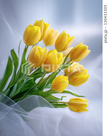 無人 室内 インドア 130433305