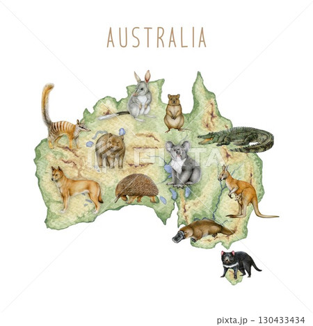 Map of Australia with native animals hand drawn watercolor illustration isolated on white background. Kangaroo, koala, echidna, dingo, bilby on Australian continent vintage style image Map of Australia with native animals hand drawn watercolor illustration isolated on white background. Kangaroo, koala, echidna, dingo, bilby on Australian continent vintage style image 130433434