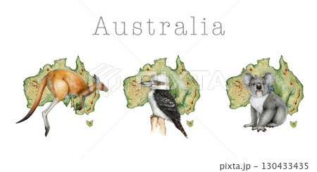 Australia native animals in front of continent map hand drawn vintage style illustration set on white background. Australian native animals and bird fauna country symbol collection 130433435