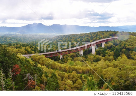黄葉の掛け橋 130433566