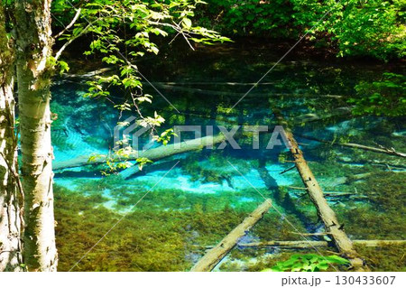 ブルーの神秘 130433607