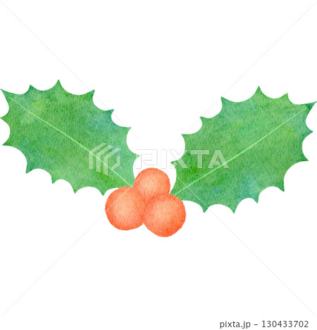 水彩で描いたクリスマスのヒイラギイラスト 130433702