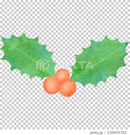 水彩で描いたクリスマスのヒイラギイラスト 130433702