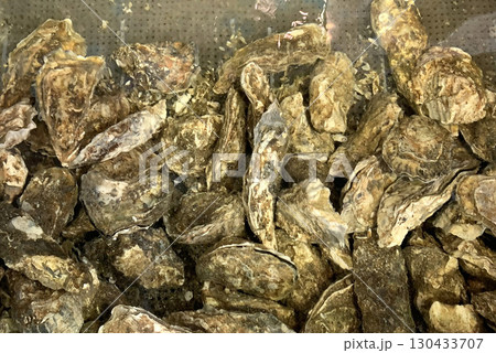 厚岸産かき　厚岸産牡蠣　厚岸ブランドかき 130433707