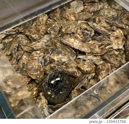 厚岸産かき　厚岸産牡蠣　厚岸ブランドかき 130433708